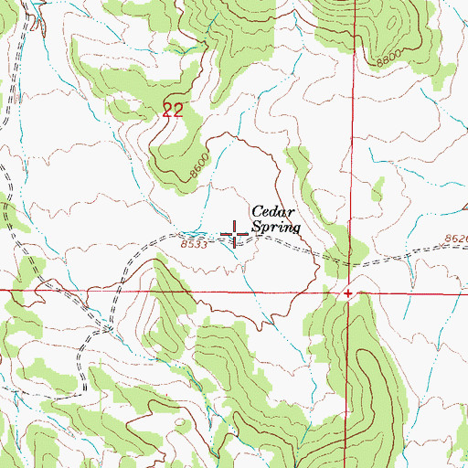 Topographic Map of Cedar Spring, CO