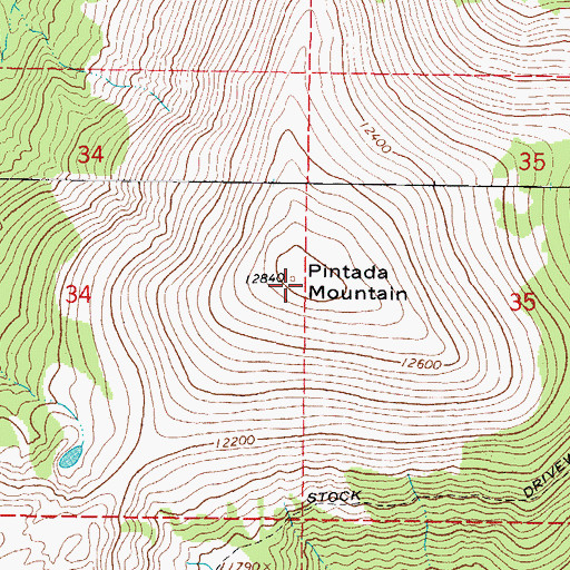 Topographic Map of Pintada Mountain, CO