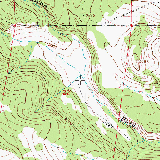 Topographic Map of Posito Creek, CO