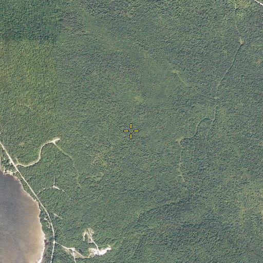 Aerial/Satellite Image of Bemis Trail, ME