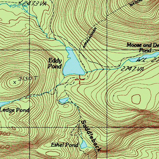 Topographic Map of Piazza Rock, ME