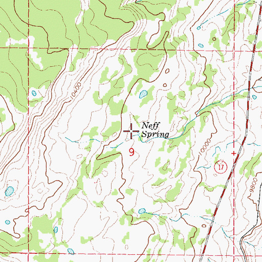 Topographic Map of Neff Spring, CO