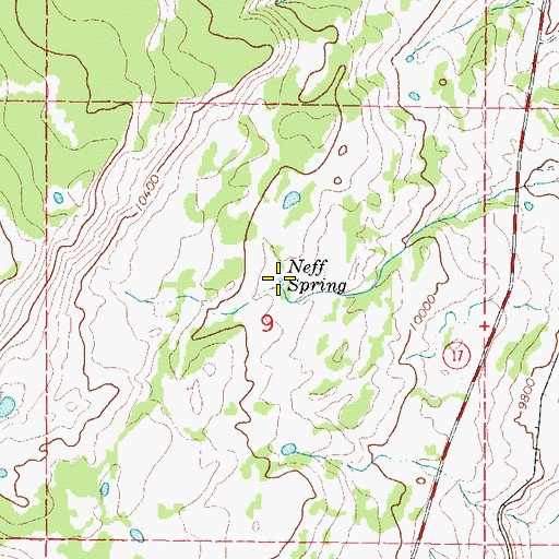 Topographic Map of Neff Spring, CO