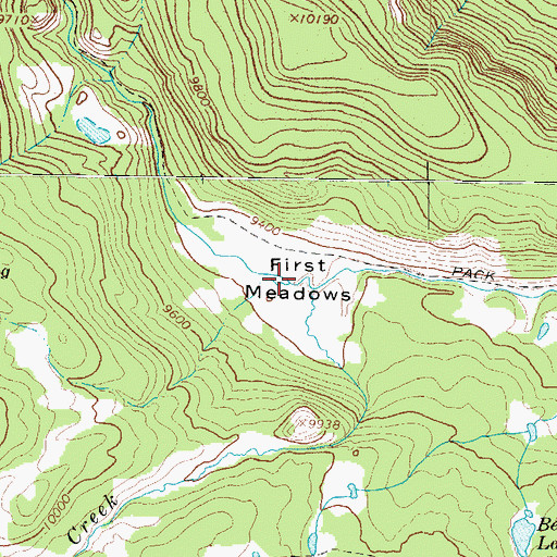 Topographic Map of First Meadows, CO