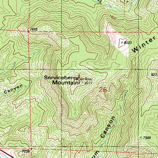 Topographic Map of Serviceberry Mountain, CO