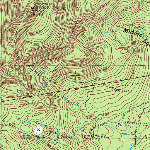 Topographic Map of Big Moose Mountain Trail, ME
