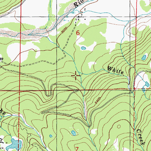 Topographic Map of Castle Creek, CO