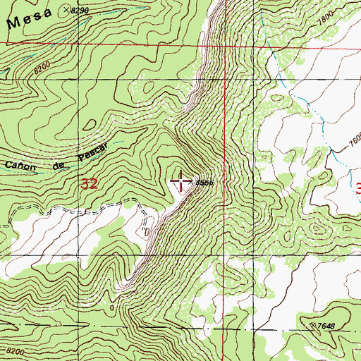 Topographic Map of Mesa Cortado, CO
