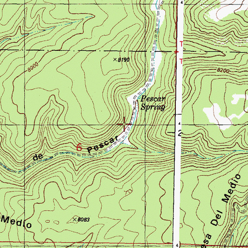 Topographic Map of Pescar Springs, CO