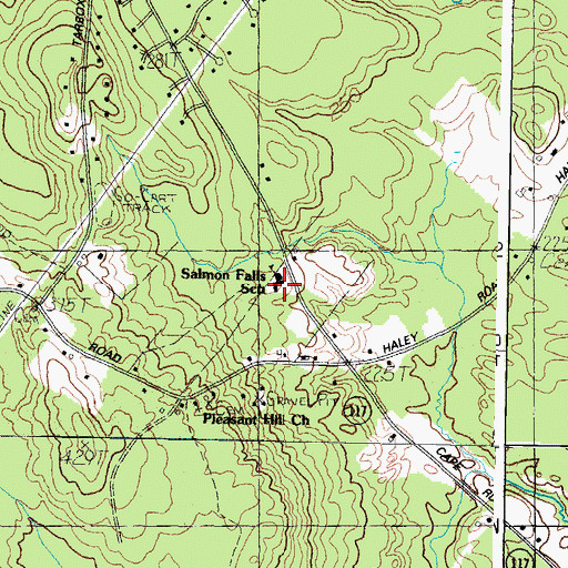 Topographic Map of Salmon Falls School, ME