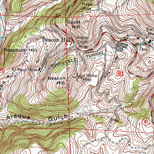 Topographic Map of Gold Dollar Mine, CO