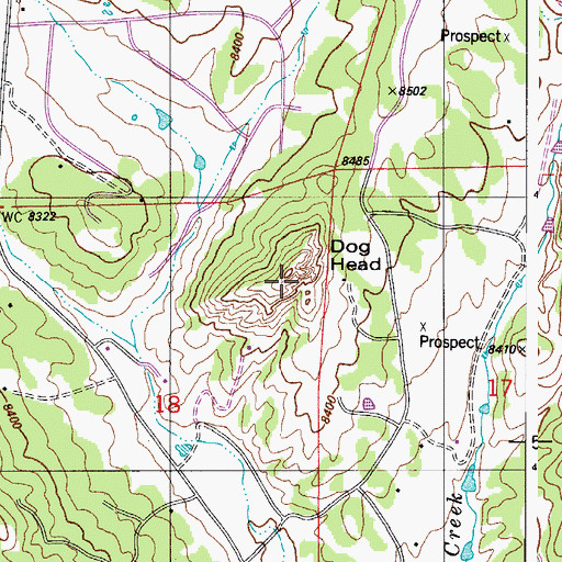 Topographic Map of Dog Head, CO