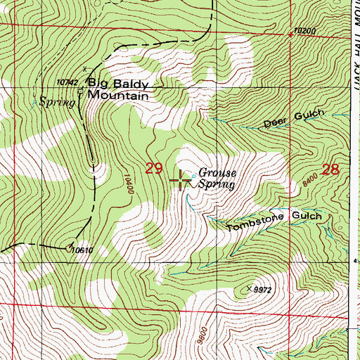 Topographic Map of Grouse Spring, CO