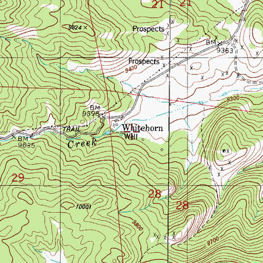 Topographic Map of Whitehorn, CO