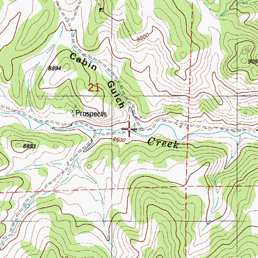 Topographic Map of Cabin Gulch, CO