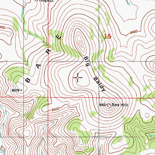 Topographic Map of Big Baldy, CO