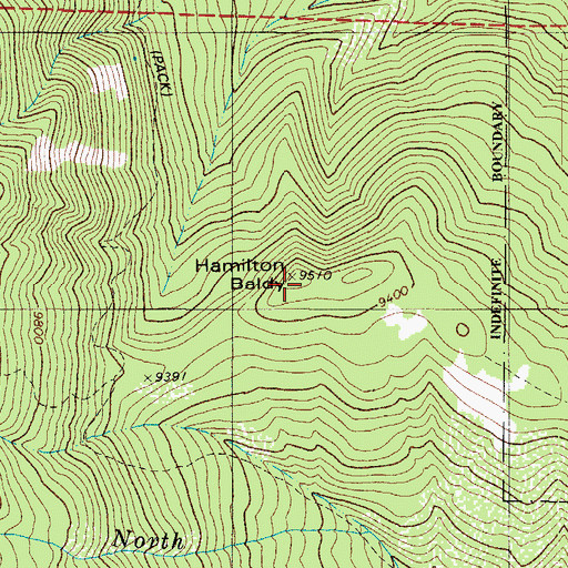 Topographic Map of Hamilton Baldy, CO