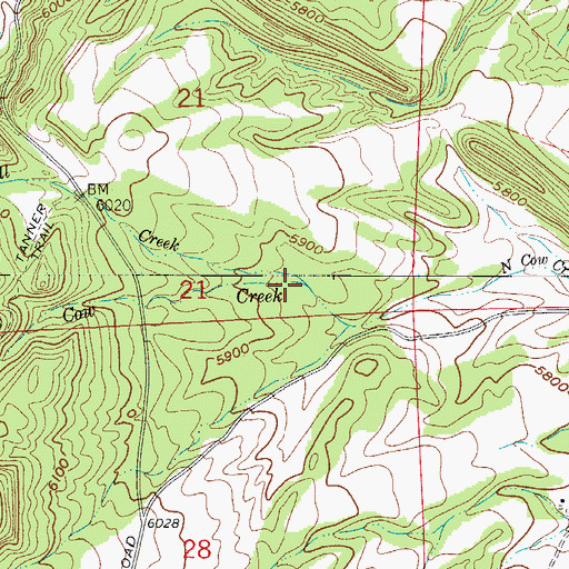 Topographic Map of Mill Creek, CO