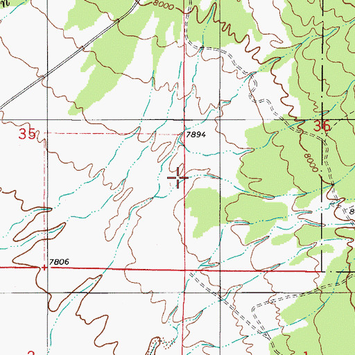 Topographic Map of Dimick Gulch, CO