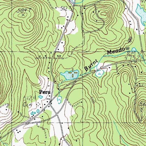 Topographic Map of Lyons Pond, VT