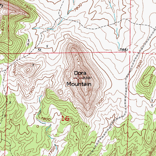 Topographic Map of Dora Mountain, CO