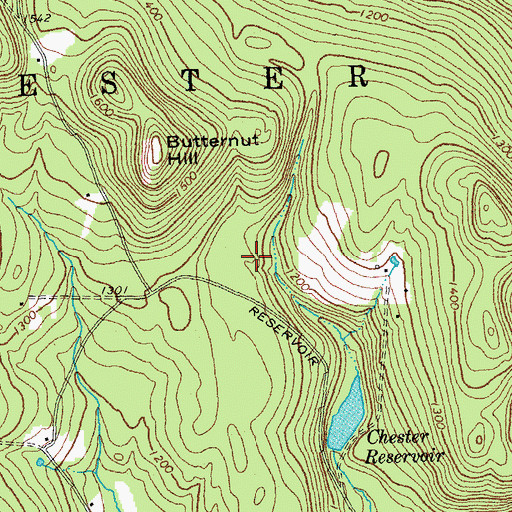 Topographic Map of Chester Town Forest, VT