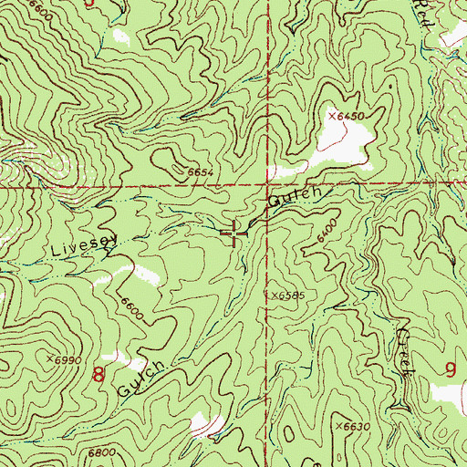 Topographic Map of Bell Gulch, CO