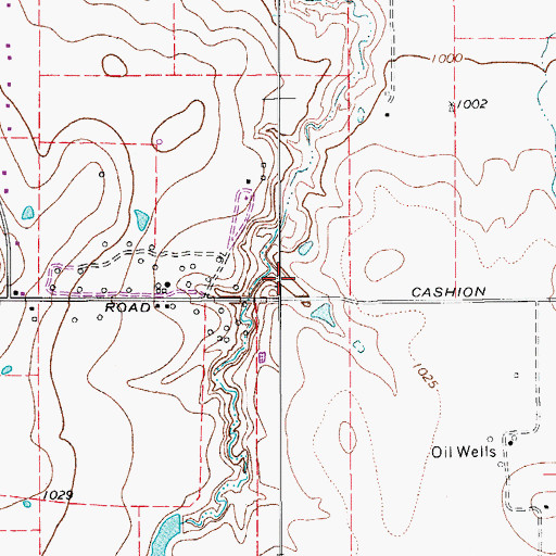 Topographic Map of Cashion Community, TX
