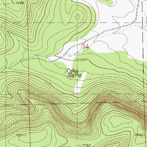 Topographic Map of Celso Spring, NM