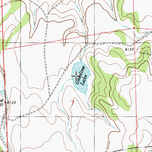 Topographic Map of Gasoline Lake, NM