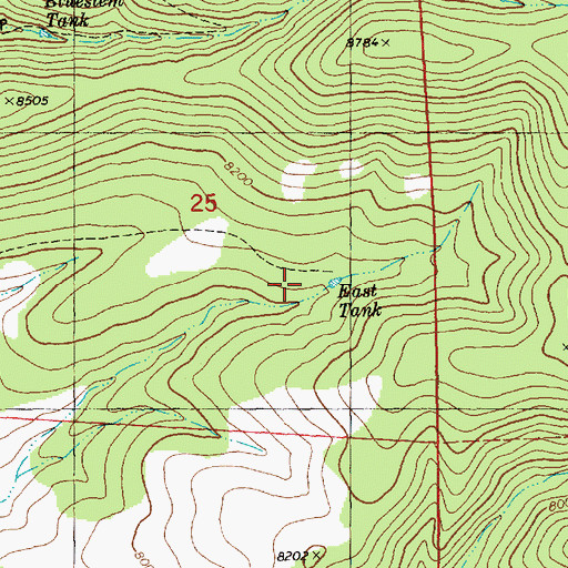Topographic Map of East Tank, NM
