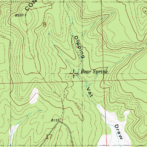 Topographic Map of Bear Spring, NM