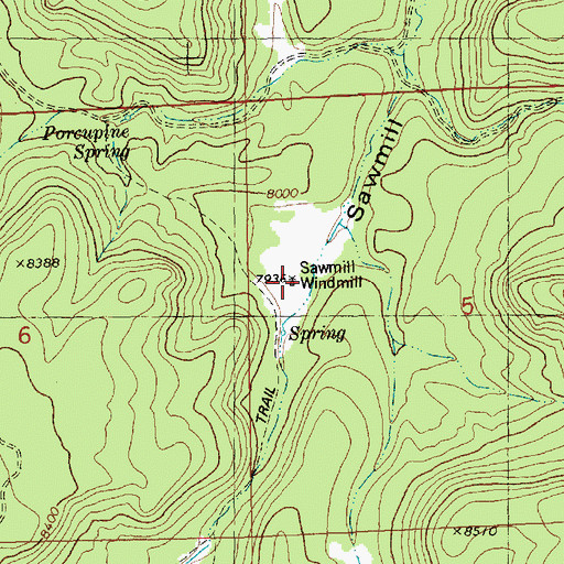 Topographic Map of Sawmill Windmill, NM