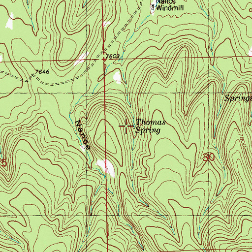 Topographic Map of Thomas Spring, NM