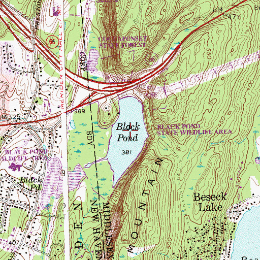 Topographic Map of Black Pond State Wildlife Area, CT