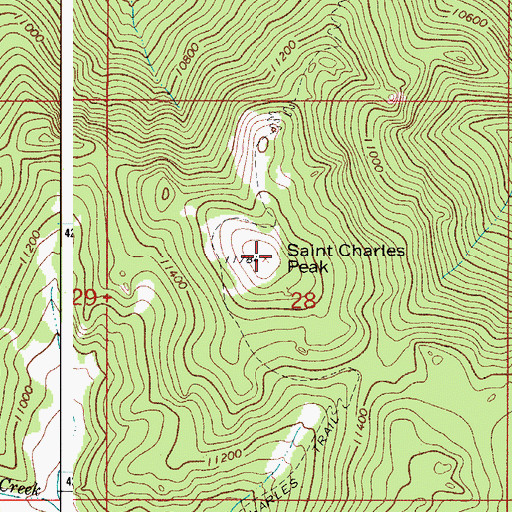 Topographic Map of Saint Charles Peak, CO