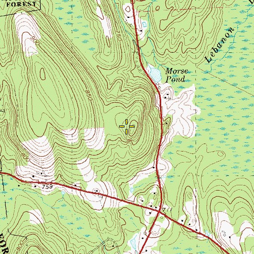 Topographic Map of Chestnut Hill, CT