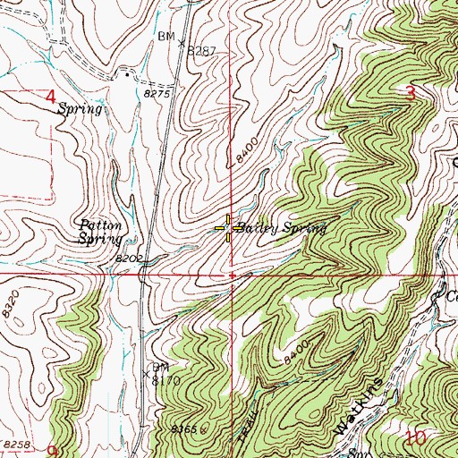Topographic Map of Bailey Spring, CO