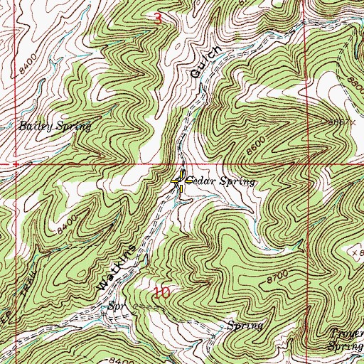 Topographic Map of Cedar Spring, CO