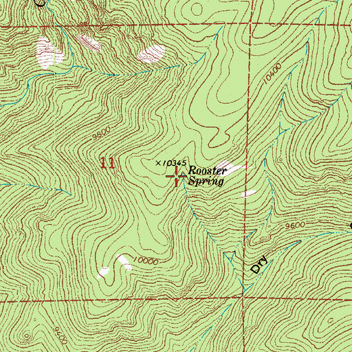 Topographic Map of Rooster Spring, CO