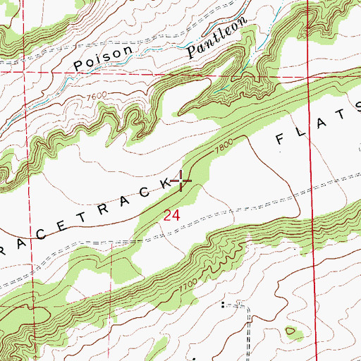 Topographic Map of Racetrack Flats, CO