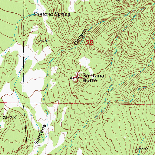 Topographic Map of Santana Butte, CO