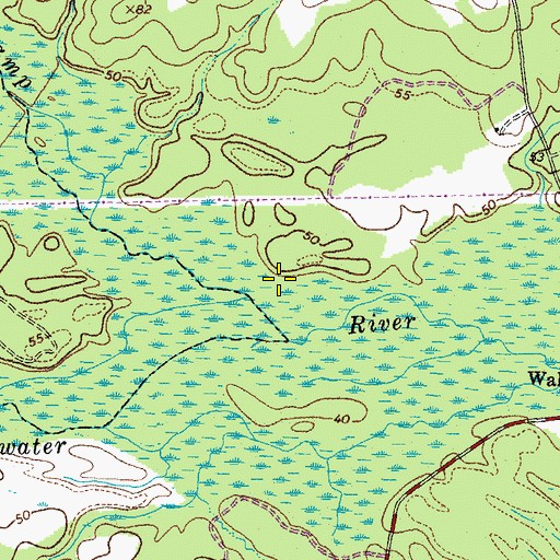 Topographic Map of Dendron District, VA