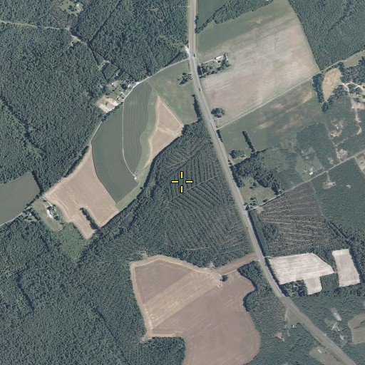 Aerial/Satellite Image of South District, VA