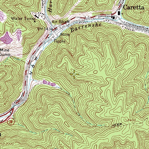 Topographic Map of Big Creek District, WV