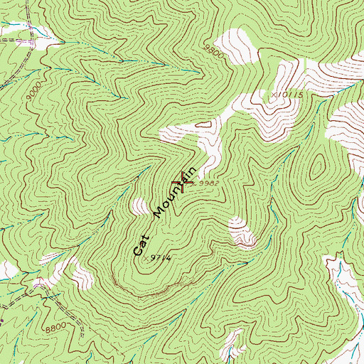 Topographic Map of Cat Mountain, CO