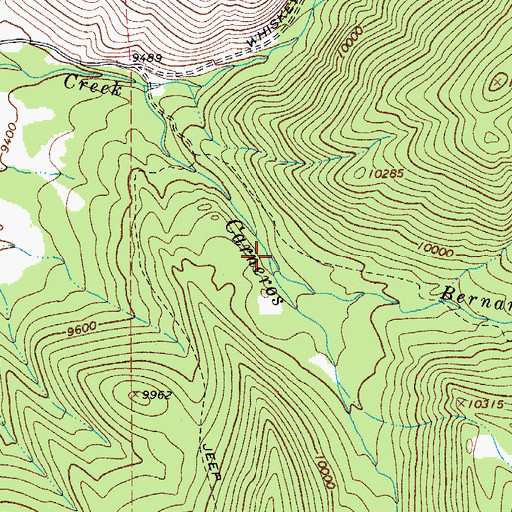 Topographic Map of Bernardino Creek, CO