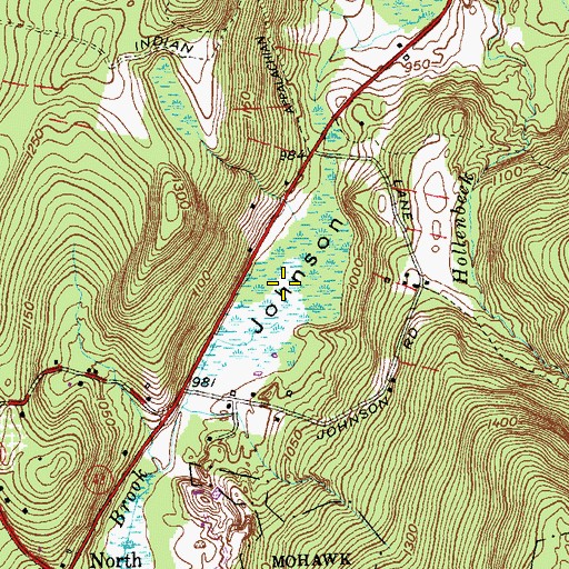 Topographic Map of Black Spruce Bog, CT