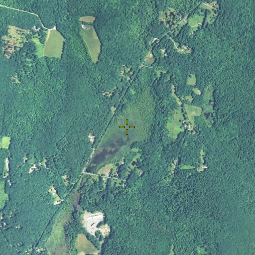 Aerial/Satellite Image of Black Spruce Bog, CT