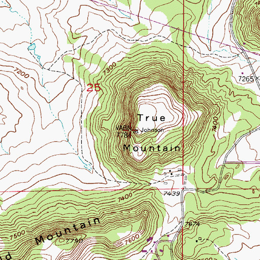 Topographic Map of True Mountain, CO